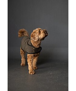 Merchant and Mills Barka dog coat