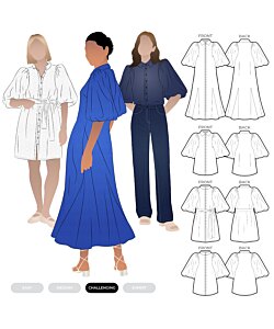 Style Arc Dallas woven dress